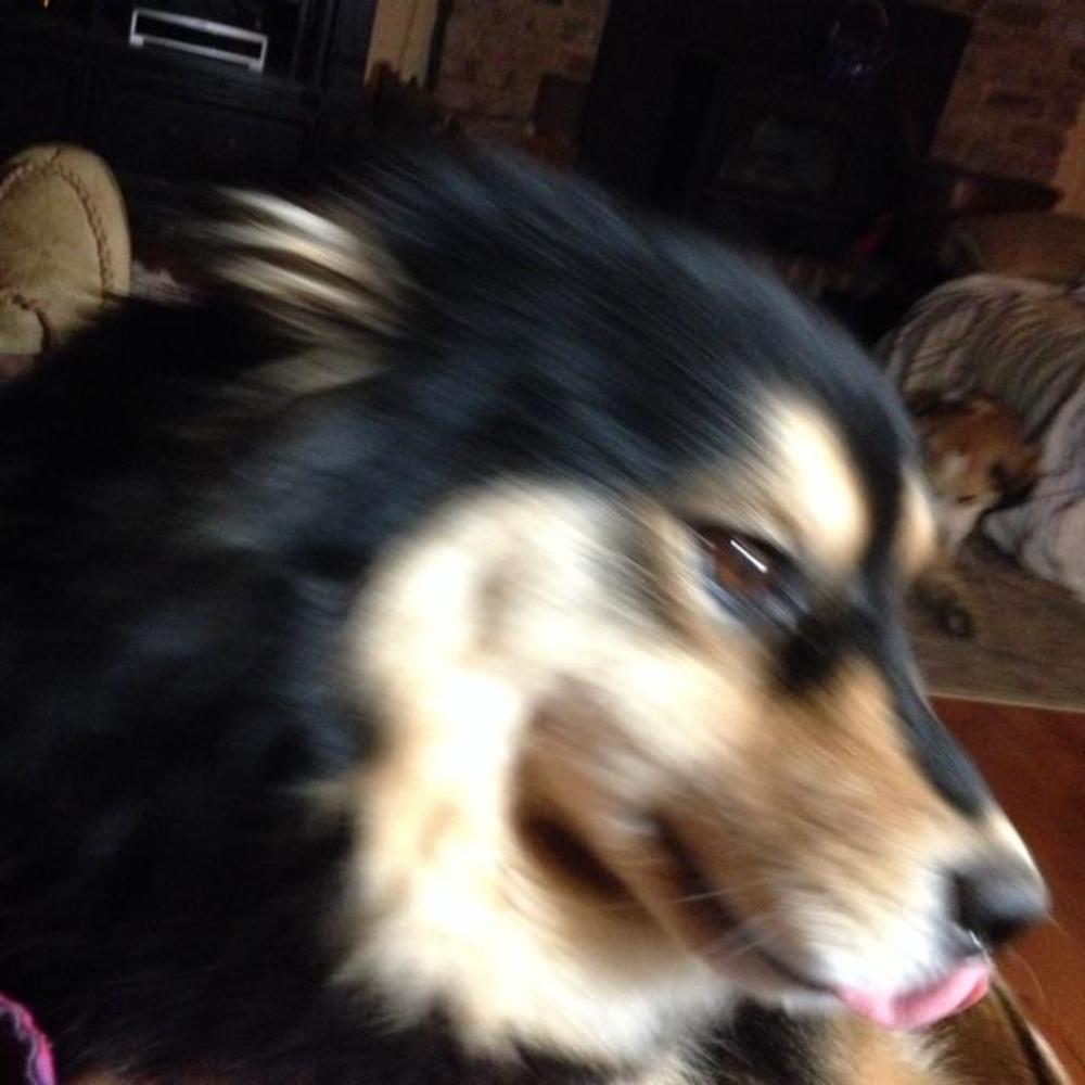 Meet your Posher, Jen